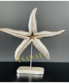 Star Resin Shape Silver 1 Pieces